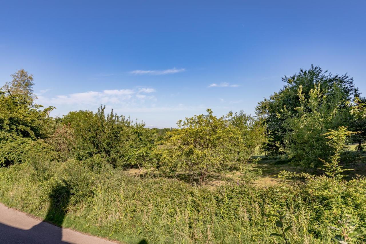 Danny Lodge - Country Cottage Near Brighton By Huluki Sussex Stays Hurstpierpoint Exteriör bild