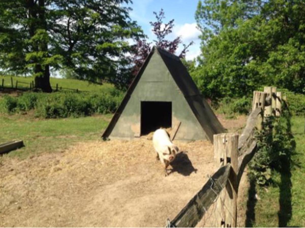 Danny Lodge - Country Cottage Near Brighton By Huluki Sussex Stays Hurstpierpoint Exteriör bild